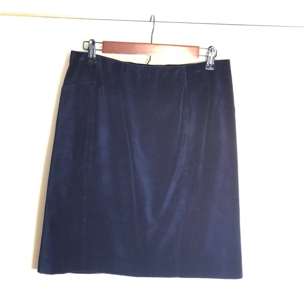 Ann Taylor velvet lined skirt